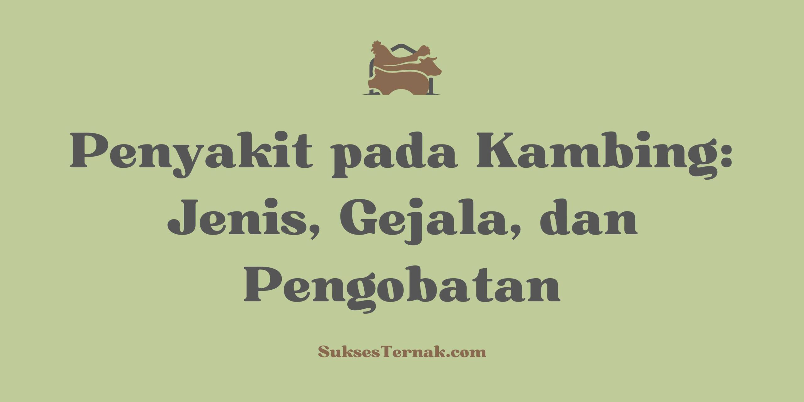 Penyakit pada Kambing Jenis, Gejala, dan Pengobatan