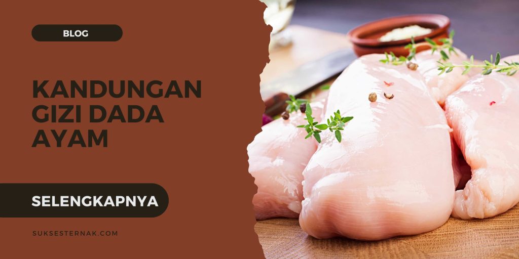 Kandungan Gizi Dada Ayam Per 100 Gram