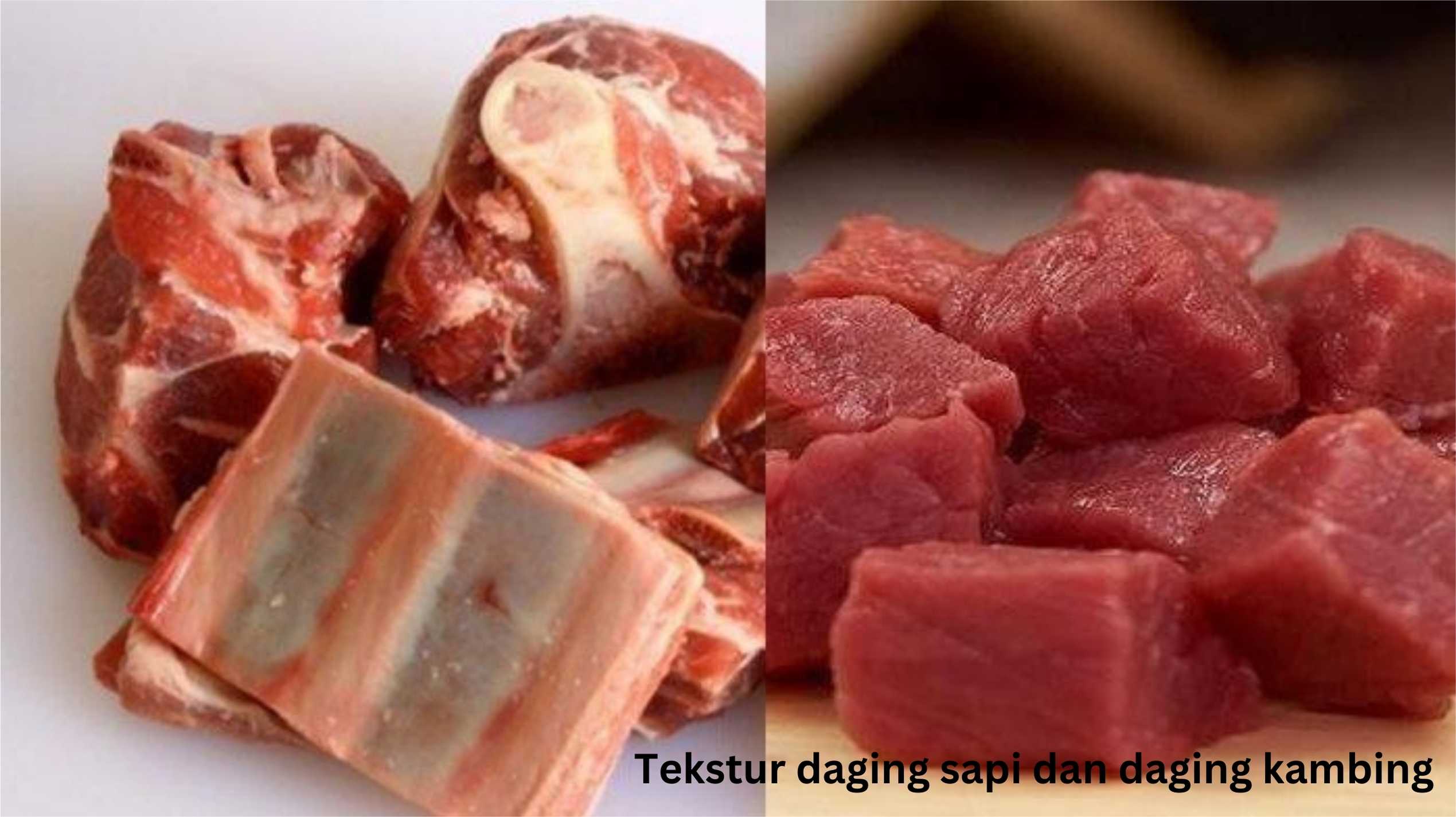 Tekstur daging sapi dan daging kambing