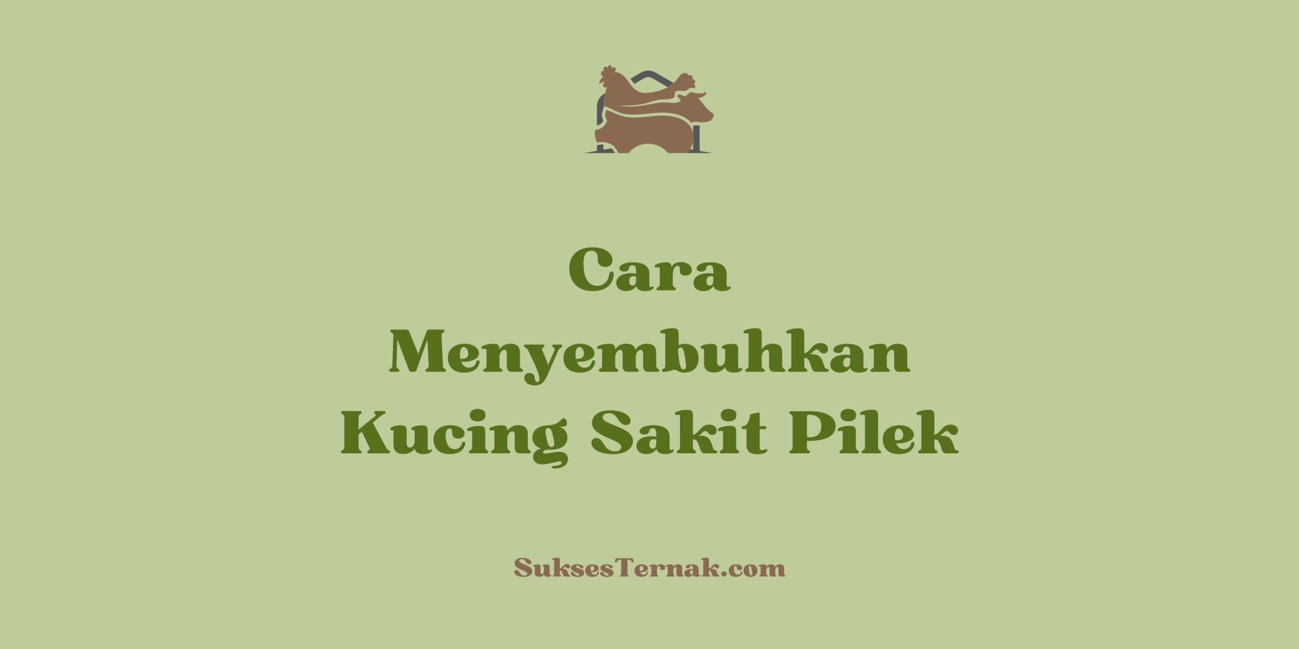 Cara Menyembuhkan Kucing Sakit Pilek