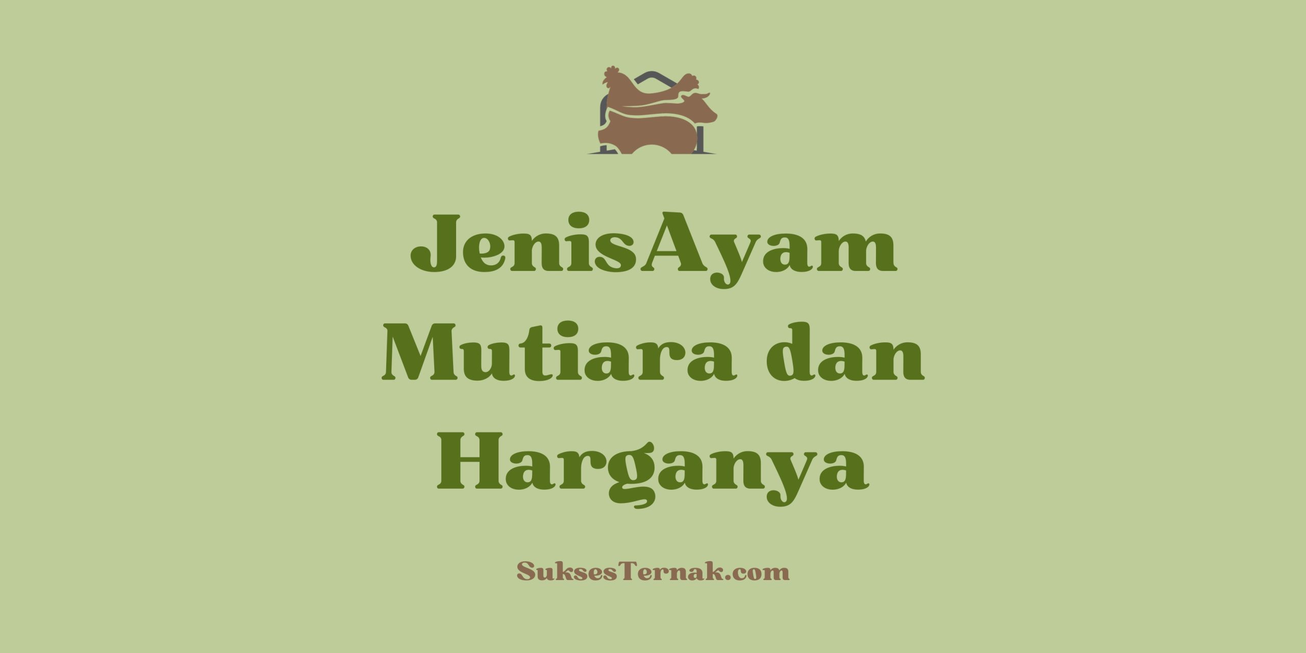 Jenis Ayam Mutiara dan Harganya