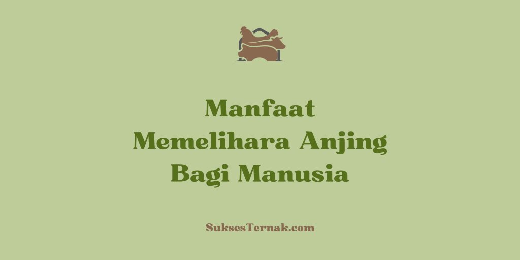 Manfaat Memelihara Anjing Bagi Manusia