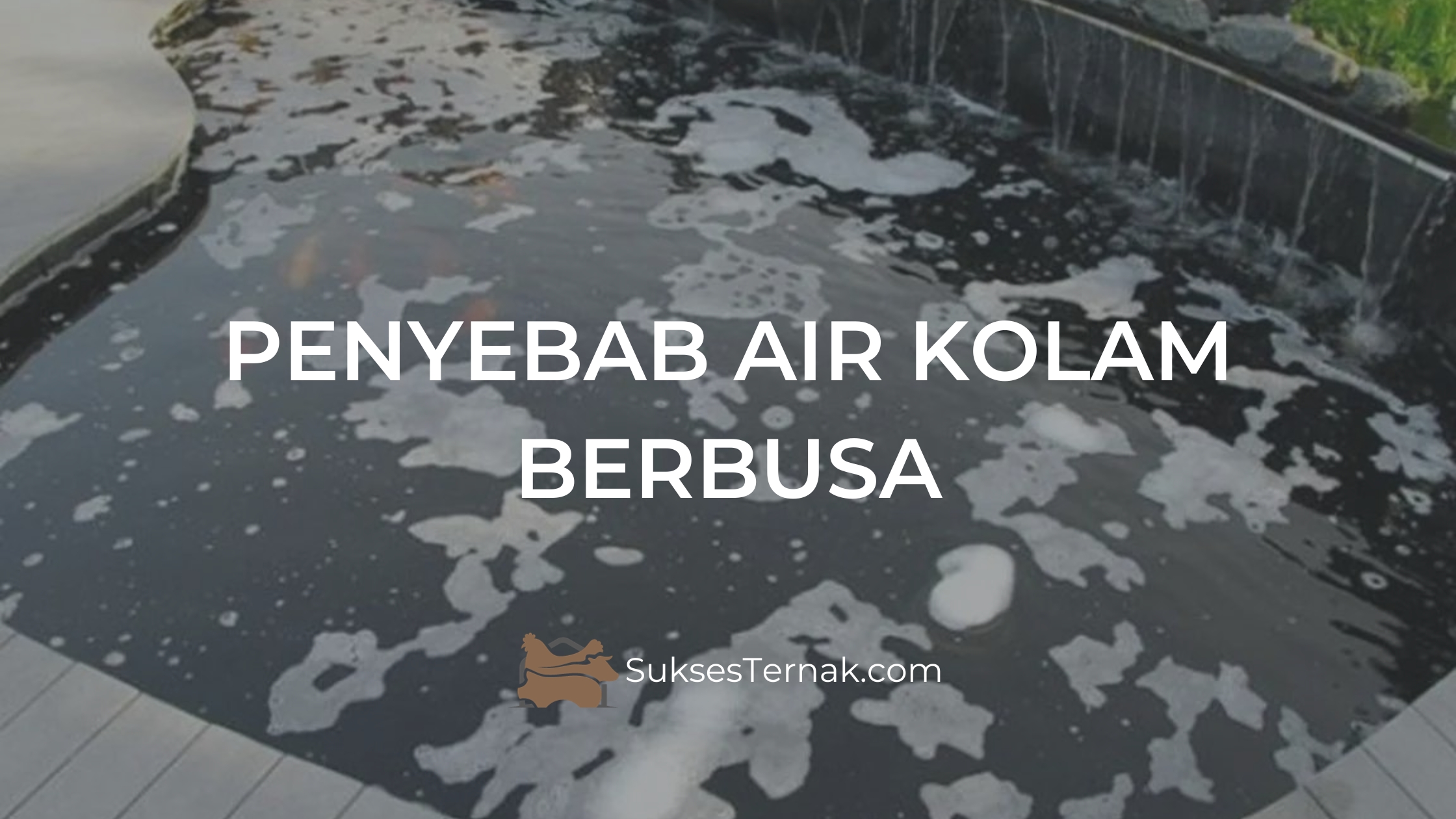 Air kolam berbusa